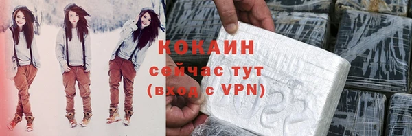 шишки Балабаново