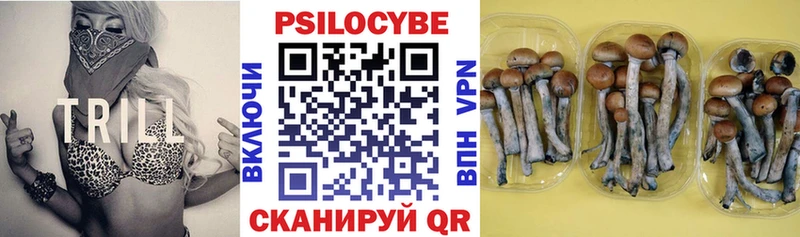 Псилоцибиновые грибы MAGIC MUSHROOMS  мориарти состав  Белоозёрский  omg ссылка 
